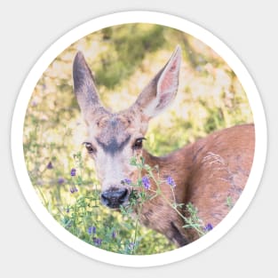 Cute Doe and Flowers Circle Sticker Sticker